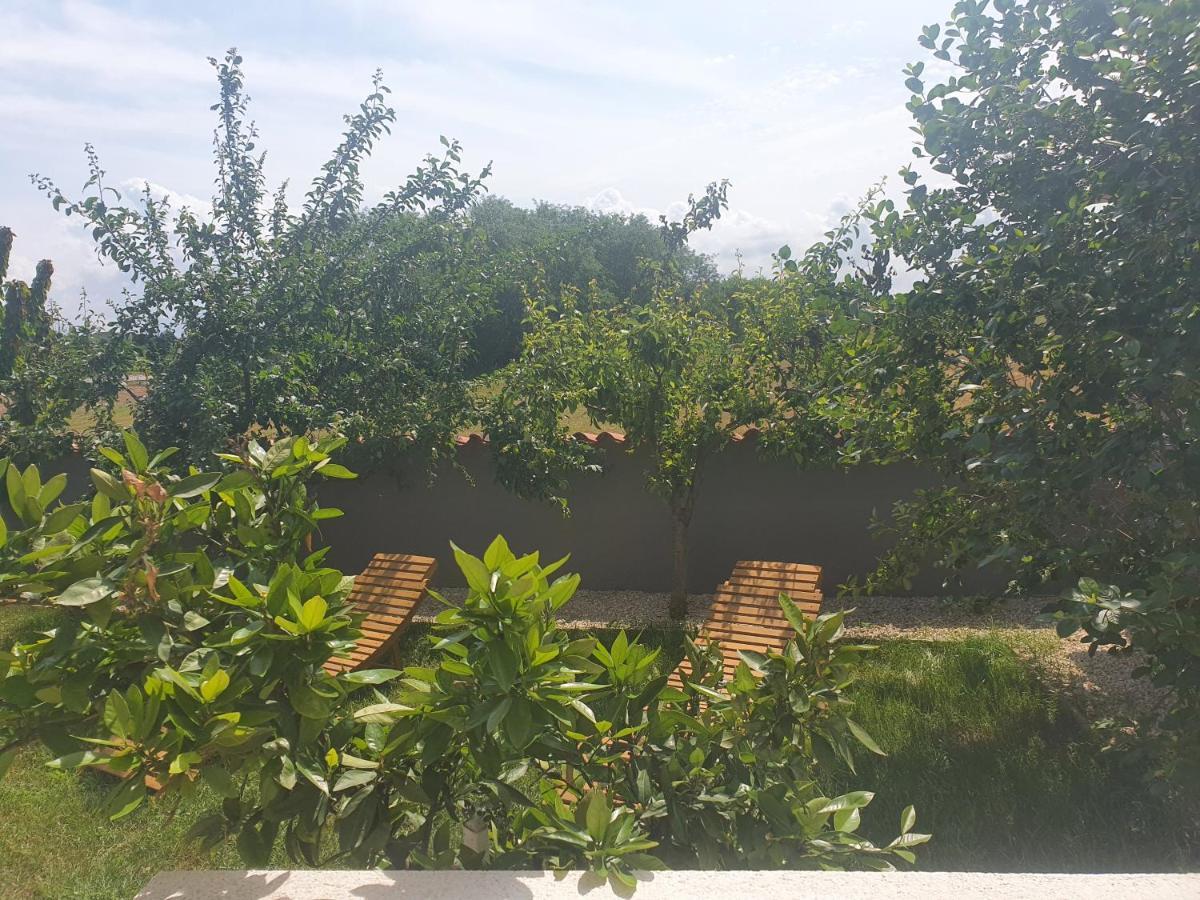 Villa Ancora Savudrija Zewnętrze zdjęcie